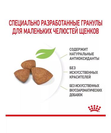 ROYAL CANIN Dry food for miniature dyed puppies 1.5 kg - Buy Online on GoSupps.com