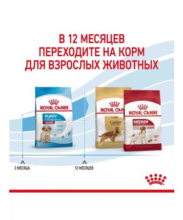 ROYAL CANIN Dry food for medium -sized puppies 3 kg - Buy Online on GoSupps.com