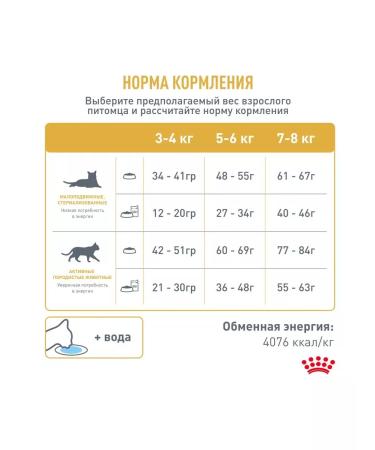 Royal Canin Bengal adult adult cats Bengal 2kg - Buy Online on GoSupps.com