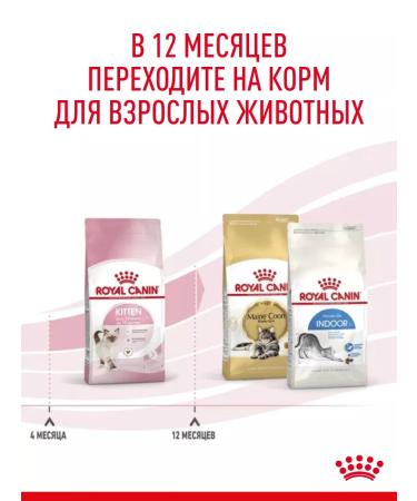 ROYAL CANIN Dry food for kittens Kitten with a bird 1.2 kg - Buy Online on GoSupps.com
