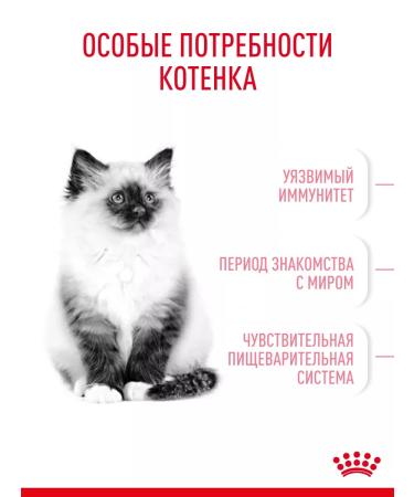 ROYAL CANIN Dry food for kittens Kitten with a bird 1.2 kg - Buy Online on GoSupps.com