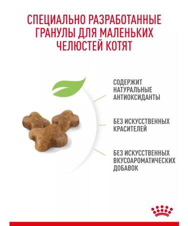 ROYAL CANIN Dry food for kittens Kitten with a bird 1.2 kg - Buy Online on GoSupps.com