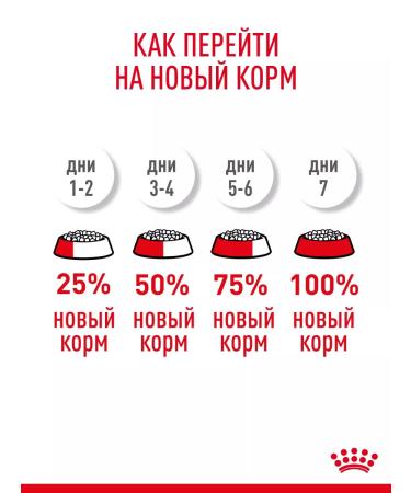 ROYAL CANIN Dry food for kittens Kitten with a bird 1.2 kg - Buy Online on GoSupps.com