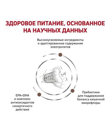 ROYAL CANIN GastroinTestinal Fiber Response cat food for constipation 2kg - Buy Online on GoSupps.com