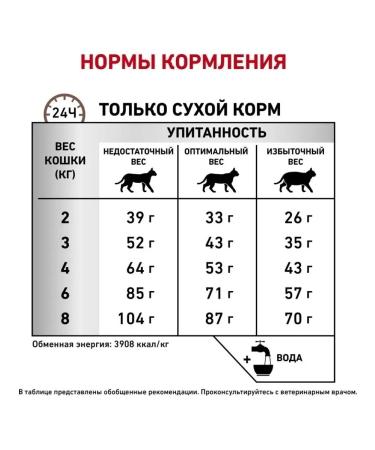 ROYAL CANIN GastroinTestinal Fiber Response cat food for constipation 2kg - Buy Online on GoSupps.com