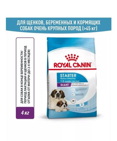 ROYAL CANIN Giant Starter food for giant puppies up to 2 months 4 kg