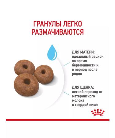 ROYAL CANIN Giant Starter food for giant puppies up to 2 months 4 kg - Buy Online on GoSupps.com