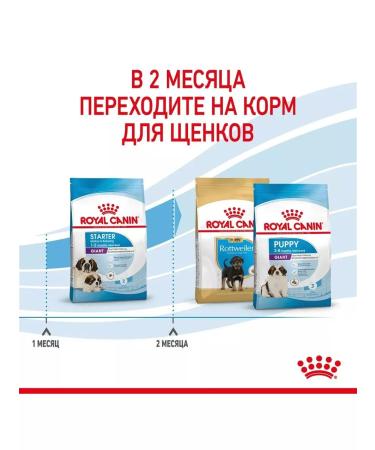 ROYAL CANIN Giant Starter food for giant puppies up to 2 months 4 kg - Buy Online on GoSupps.com