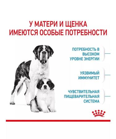ROYAL CANIN Giant Starter food for giant puppies up to 2 months 4 kg - Buy Online on GoSupps.com
