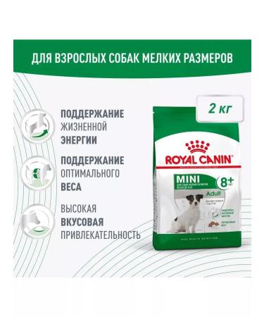 Royal Canin Mini adult 8+ Feed for elderly dogs of small rocks 2kg