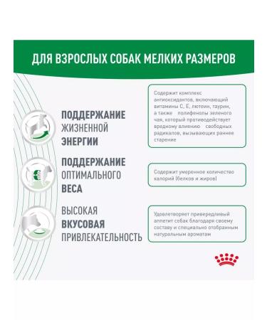 Royal Canin Mini adult 8+ Feed for elderly dogs of small rocks 2kg - Buy Online on GoSupps.com