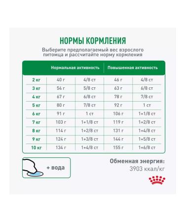 Royal Canin Mini adult 8+ Feed for elderly dogs of small rocks 2kg - Buy Online on GoSupps.com