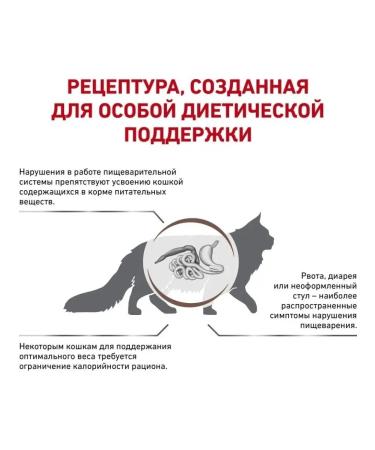 ROYAL CANIN Gastrointestinal food for cats for gastrointestinal gastrointestinal - Buy Online on GoSupps.com