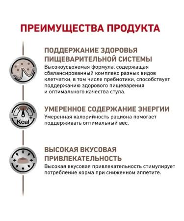 ROYAL CANIN Gastrointestinal food for cats for gastrointestinal gastrointestinal - Buy Online on GoSupps.com