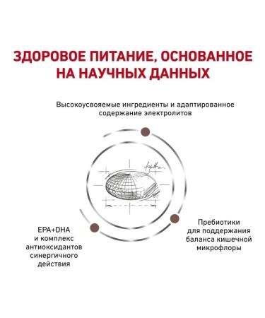 ROYAL CANIN Gastrointestinal food for cats for gastrointestinal gastrointestinal - Buy Online on GoSupps.com