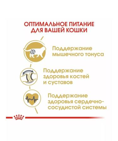 ROYAL CANIN British shorthair feed of British short -haired cats 4 kg - Buy Online on GoSupps.com