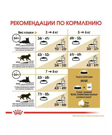 ROYAL CANIN British shorthair feed of British short -haired cats 4 kg - Buy Online on GoSupps.com