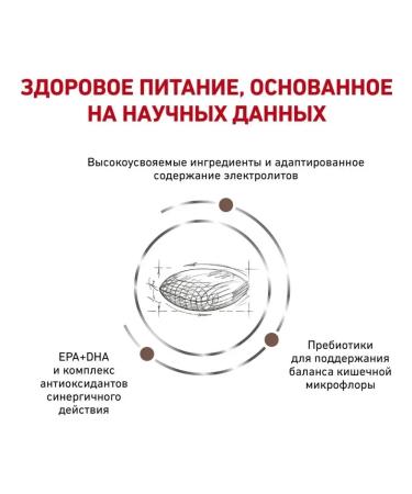 Royal Canin GastroinTestinal Low Fat Form for dogs weight control 12kg - Buy Online on GoSupps.com