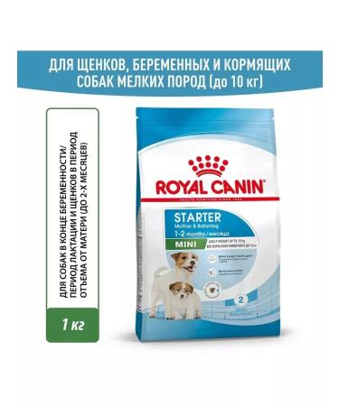 ROYAL CANIN Mini Starter storm for small breed puppies up to 2 months 1 kg