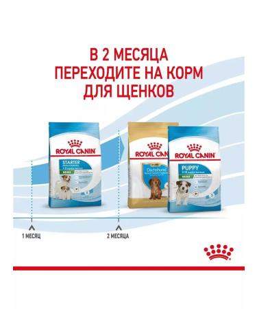 ROYAL CANIN Mini Starter storm for small breed puppies up to 2 months 1 kg - Buy Online on GoSupps.com