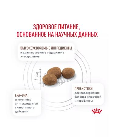 Royal Canin Gastrointestinal feed for dogs for gastrointestinal tract 2 kg - Buy Online on GoSupps.com