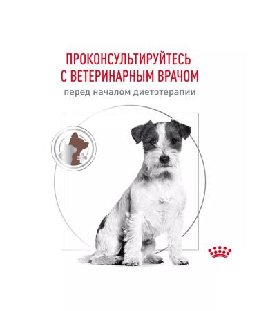 Royal Canin Gastrointestinal feed for dogs for gastrointestinal tract 2 kg - Buy Online on GoSupps.com