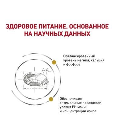 Royal Canin Urinary S o cat food treatment and prevention of ICD 1.5 kg - Buy Online on GoSupps.com