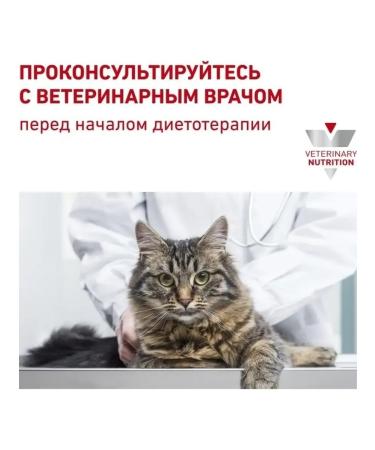 Royal Canin Urinary S o cat food treatment and prevention of ICD 1.5 kg - Buy Online on GoSupps.com