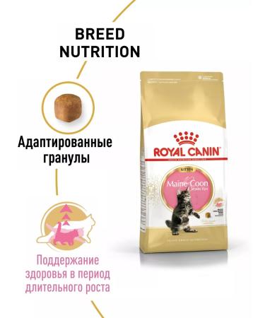 ROYAL CANIN Dry food for kittens of Main-kun breeds 4 kg - Buy Online on GoSupps.com