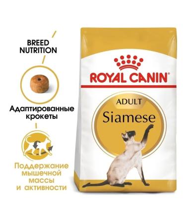 ROYAL CANIN Siamese adult adult cats of Siamese breed 2kg - Buy Online on GoSupps.com