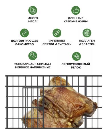 Top Lap Beef bone treat for dogs - Buy Online on GoSupps.com