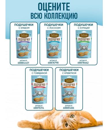 Country delicacies Picks with mashed potatoes 1 pc - Buy Online on GoSupps.com