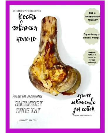 DOG AT Dog treating bone bone