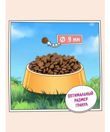 Zillii Dry food for cats hypoallergenic 2 kg - Buy Online on GoSupps.com