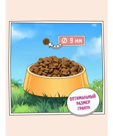 Zillii Dry food for cats sterilized hypoallergenic 400 g - Buy Online on GoSupps.com