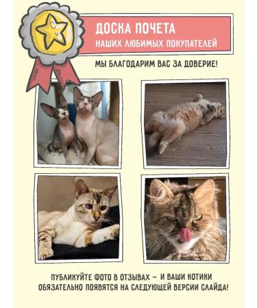 Zillii Dry food for cats sterilized hypoallergenic 2 kg - Buy Online on GoSupps.com