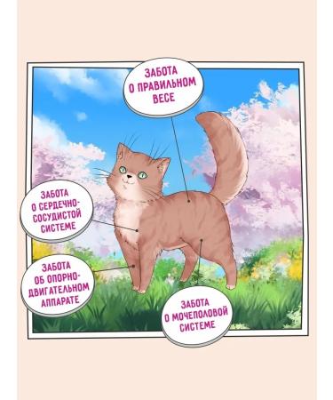 Zillii Feed for sterilized cats dry hypoallergenic 2 kg - Buy Online on GoSupps.com