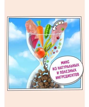 Zillii Dry dog food - Buy Online on GoSupps.com