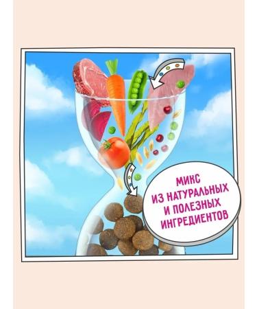 Zillii Feed for dogs dry 15 kg - Buy Online on GoSupps.com