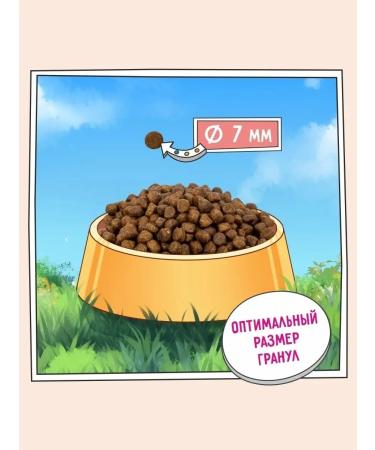 Zillii Feed for kittens dry 400g - Buy Online on GoSupps.com