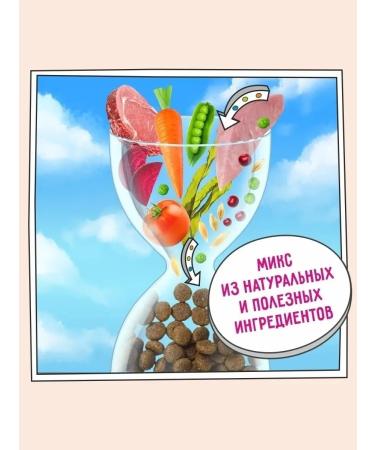 Zillii Dog food dry for small breeds - Buy Online on GoSupps.com