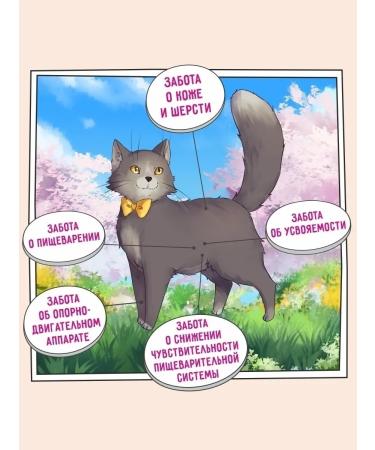 Zillii Dry food for cats with sensitive digestion 2 kg - Buy Online on GoSupps.com