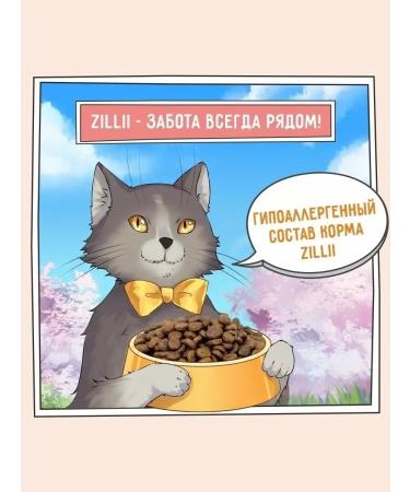 Zillii Dry food for cats with sensitive digestion 2 kg - Buy Online on GoSupps.com