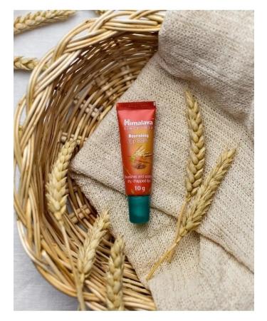 Himalaya Since 1930 Liquid lip balm is nutritious transparent 2 pcs - Buy Online on GoSupps.com