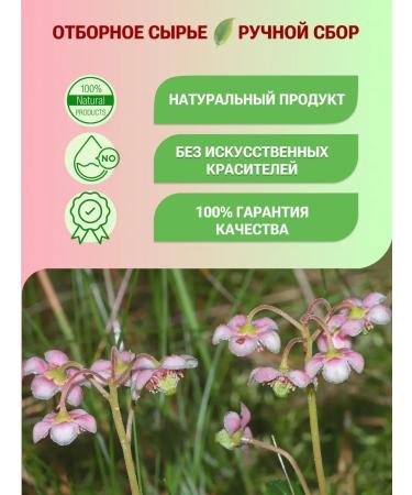 Secrets of Altai Herbal collection of Sofor Tea Japanese fruits - Buy Online on GoSupps.com