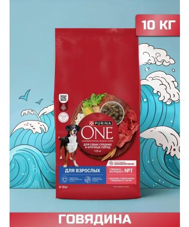 PURINA ONE Dry food for dogs with beef 10 kg