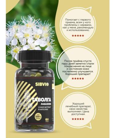 SIBVIO TAVOLGA (Labaznik) dry extract 60 capsules - Buy Online on GoSupps.com