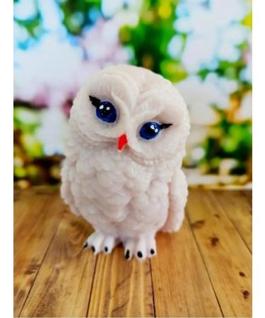 GIFTS Soap Wise owl symbol 2024 handmade soap - Buy Online on GoSupps.com