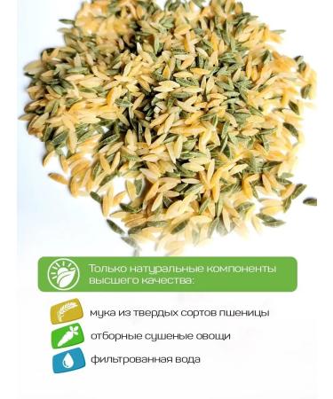 Pasta la Bella Pasta Orzo Tricolor for children 2 x 400 grams - Buy Online on GoSupps.com