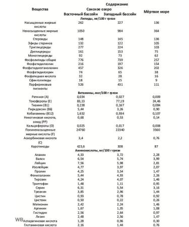 The healing power of Lake Saki Crimean therapeutic dirt of Lake Saki - Buy Online on GoSupps.com